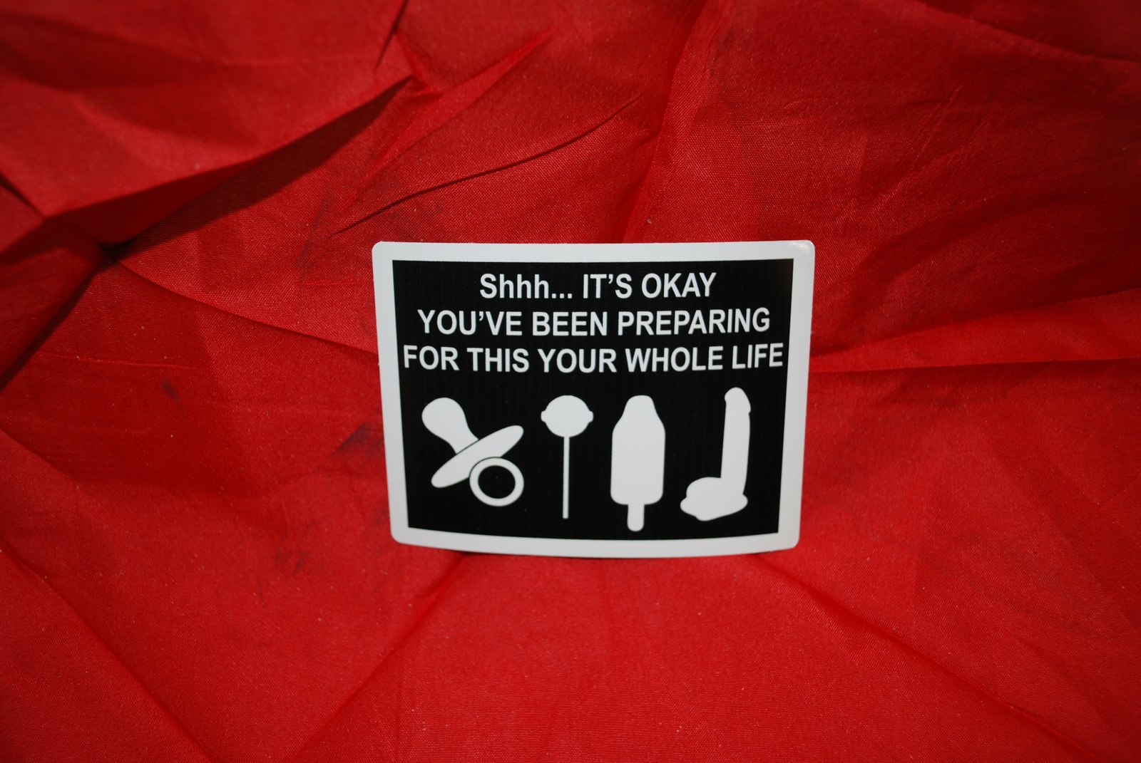 Shhh…It's Okay You've Been Preparing For This Your Whole Life