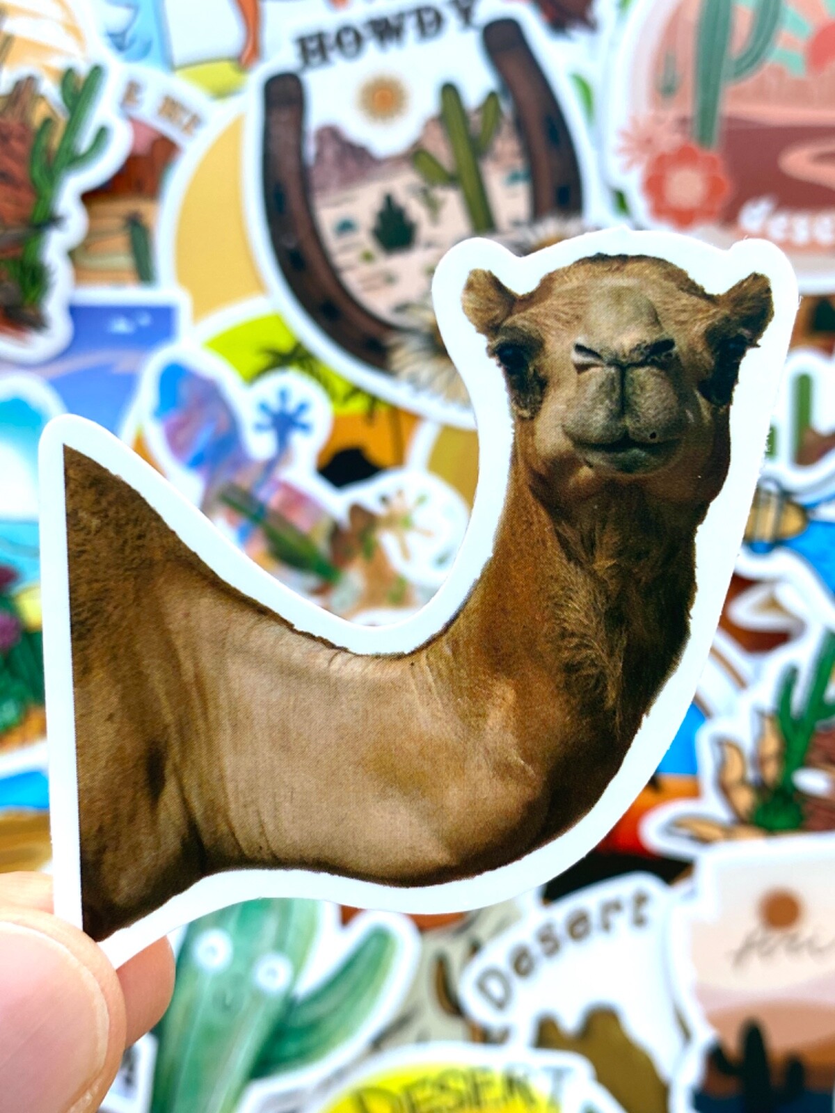 5-50 pcs Cactus Stickers, Retro Travel Arizona Canyon Camel Desert Vinyl Decals