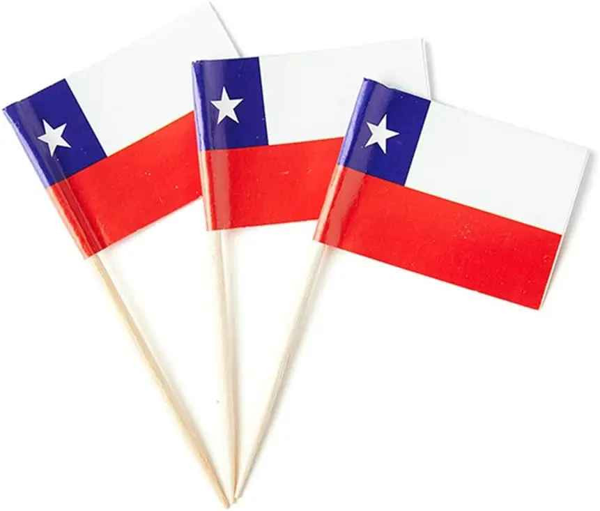 100Pcs Small American Flags Cupcake Toppers Double-sided All Country Stick Flags