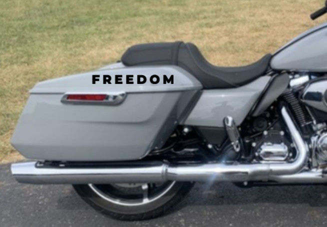 FREEDOM Vinyl Decal Bumper Sticker Car Truck Window Patriotic USA Laptop Art