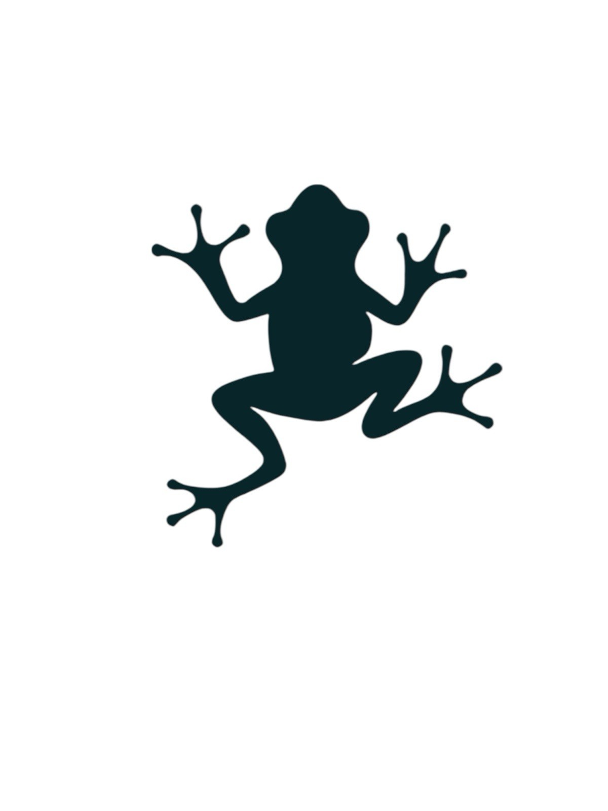 Frog design#3 Decal for car Windows Laptops most Smooth Surfaces