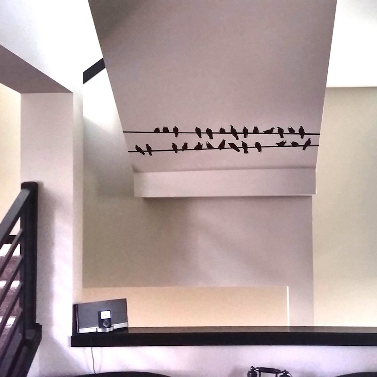 Birds On Wire Wall Decal, Birds Sitting Still Wall Vinyl, Animal Art Decor, a99