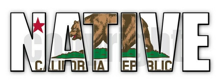 California Native Flag Stickers Flag Decals Vinyl Indoor Outdoor Stickers