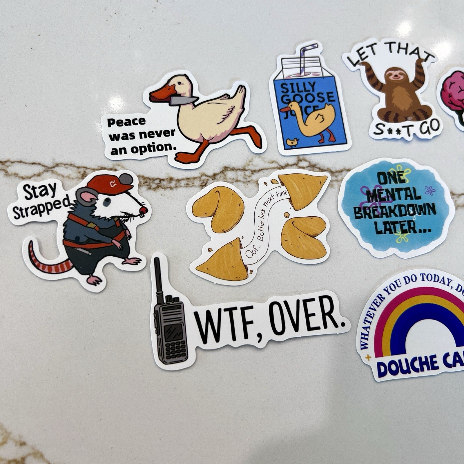Set of 10 Sarcasm Humor Sticker Lot Silly Goose WTF Mental Breakdown Sloth