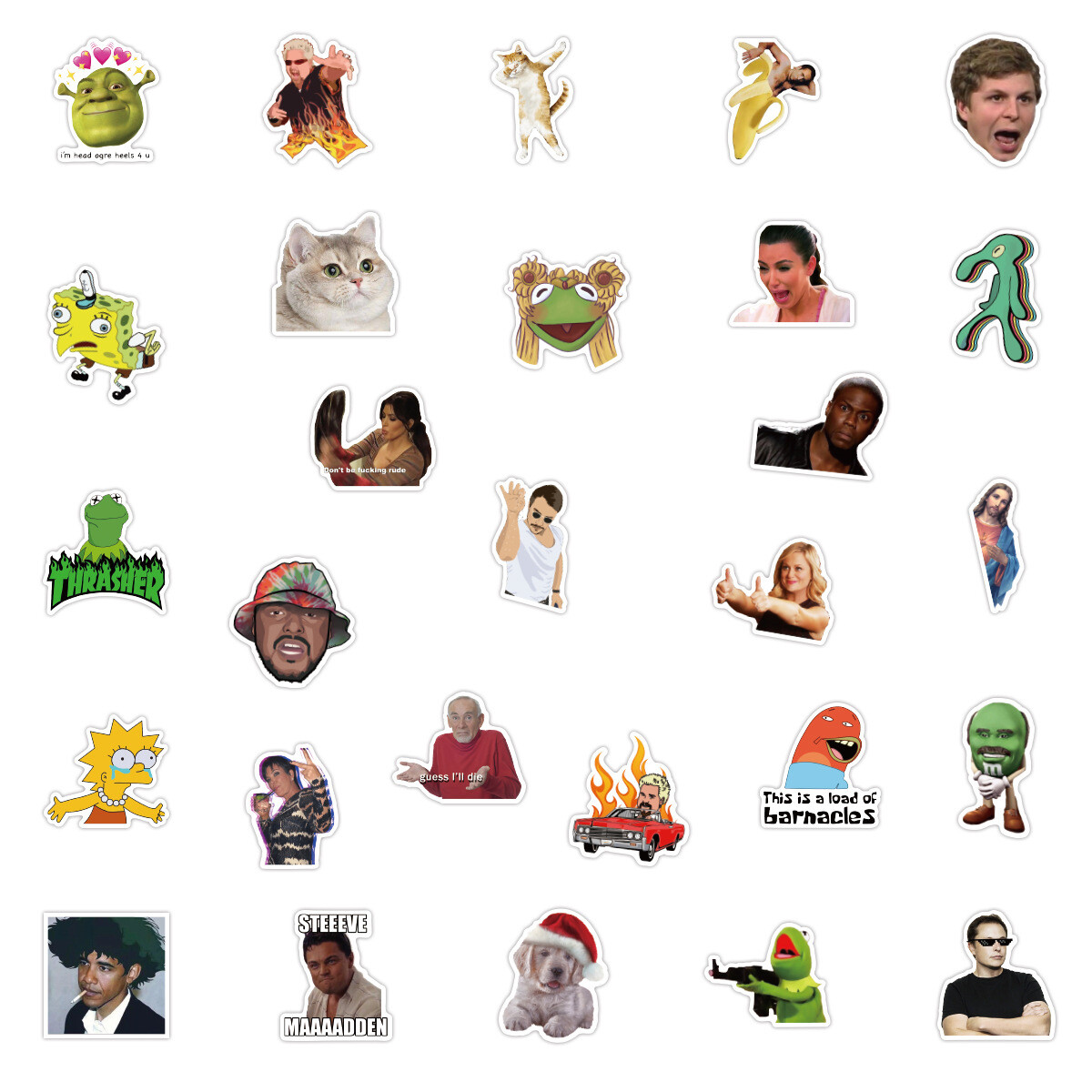 100Pcs Funny Meme Sticker for Adults Teens Girls Scrapbooking Water Bottles