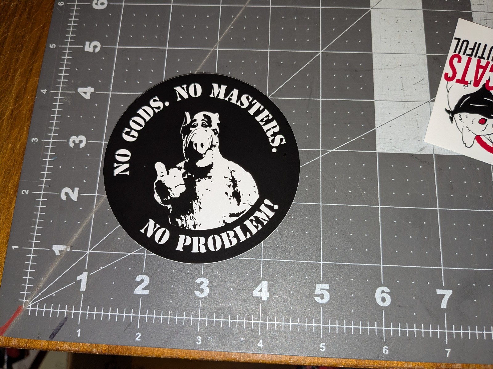 Vinyl decal stickers No Gods No Masters No Problem Anarchist art ALF