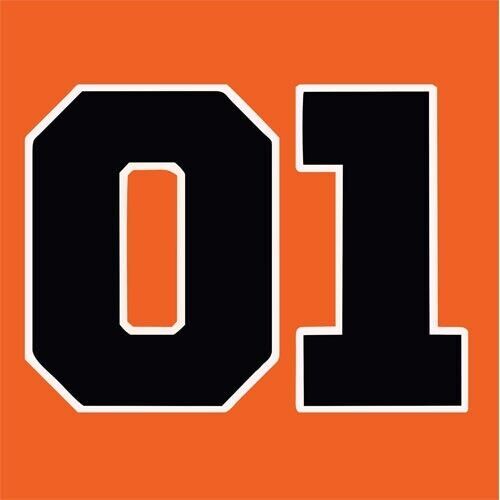 Dukes of Hazzard 01 Sticker 10" X 12" general lee
