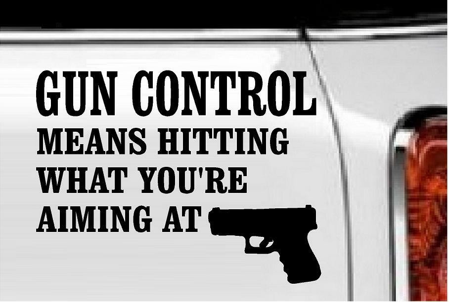 Gun Control Means…Vinyl Decal Home Décor 6" x 8"