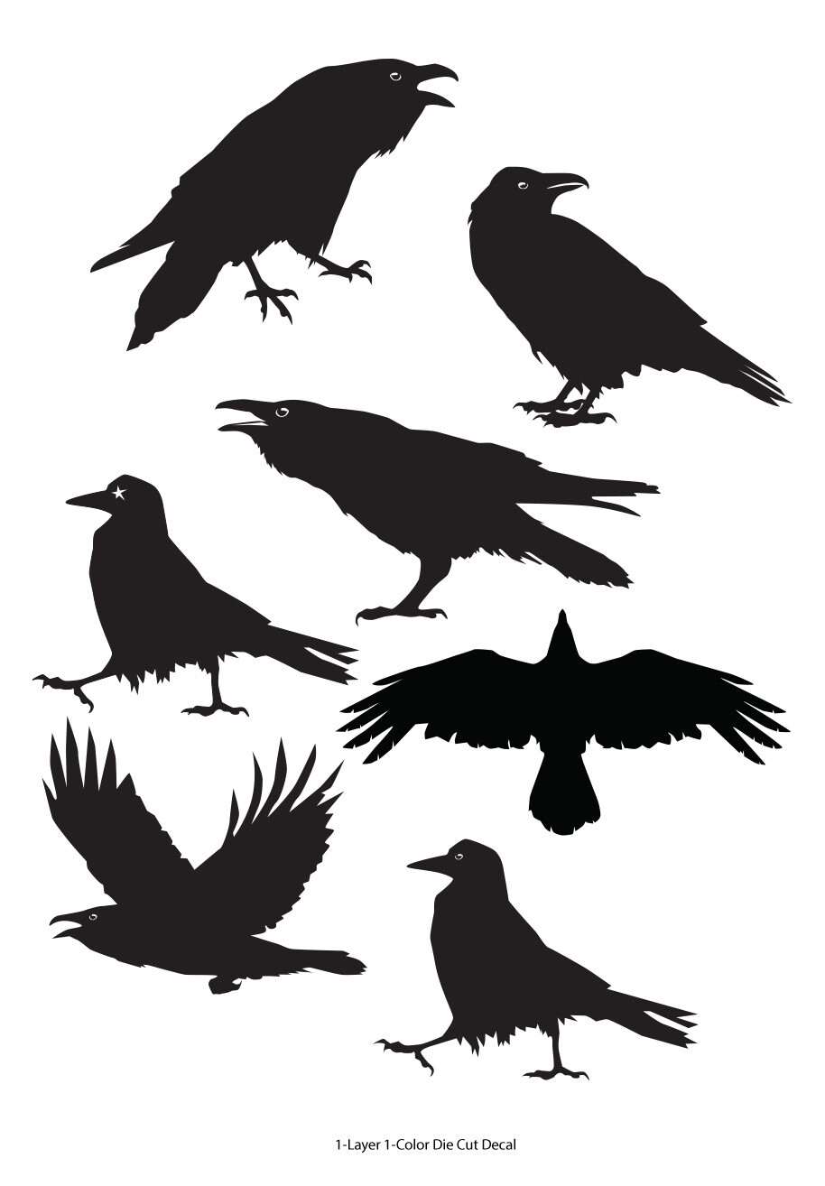Wildlife/Birds – 7 Ravens/Crows/Corvids Decals – 6Yrs Outdoor Vinyl Film Sticker