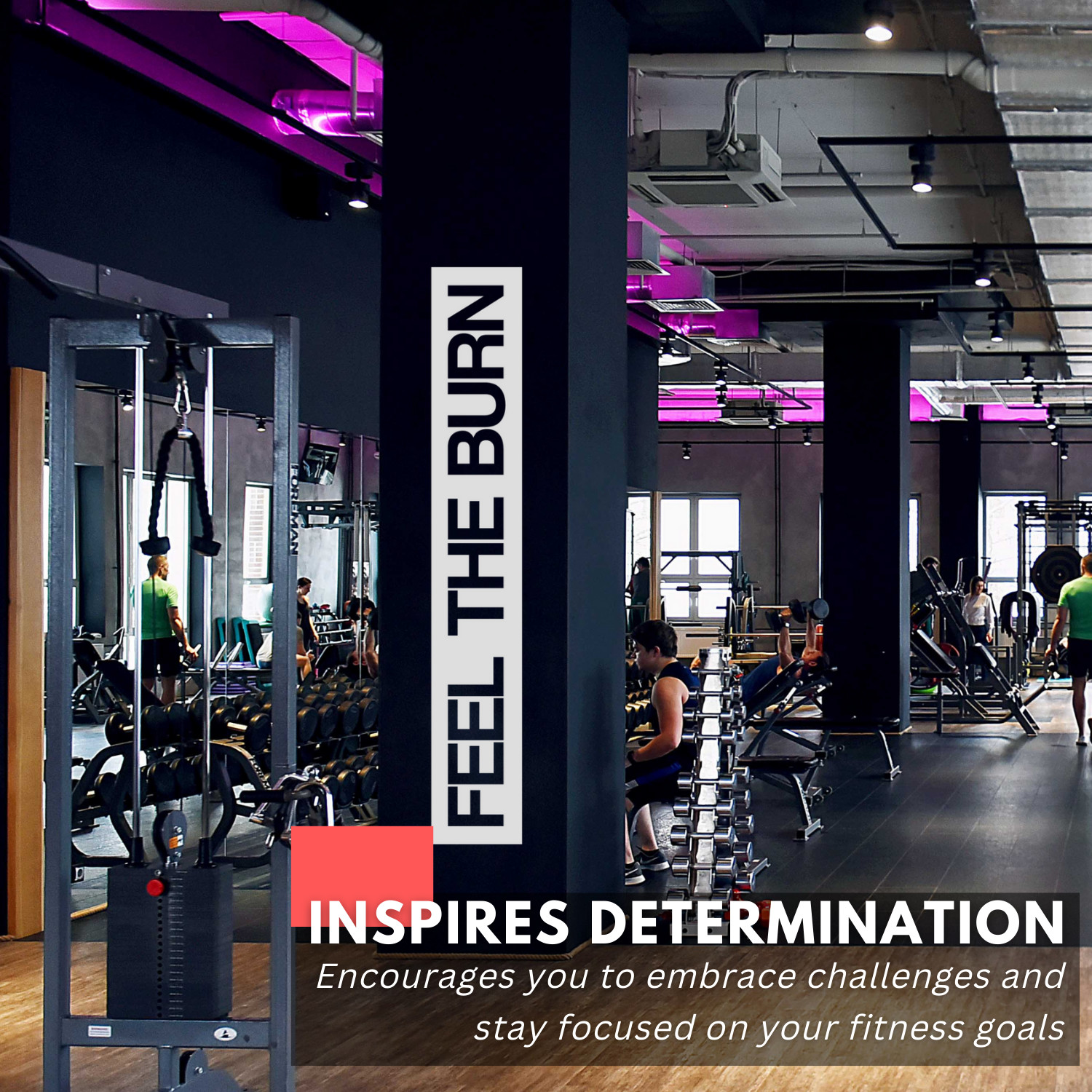 Motivational Wall Decal – Feel the Burn – Gym, Fitness, and Workout Room Decor