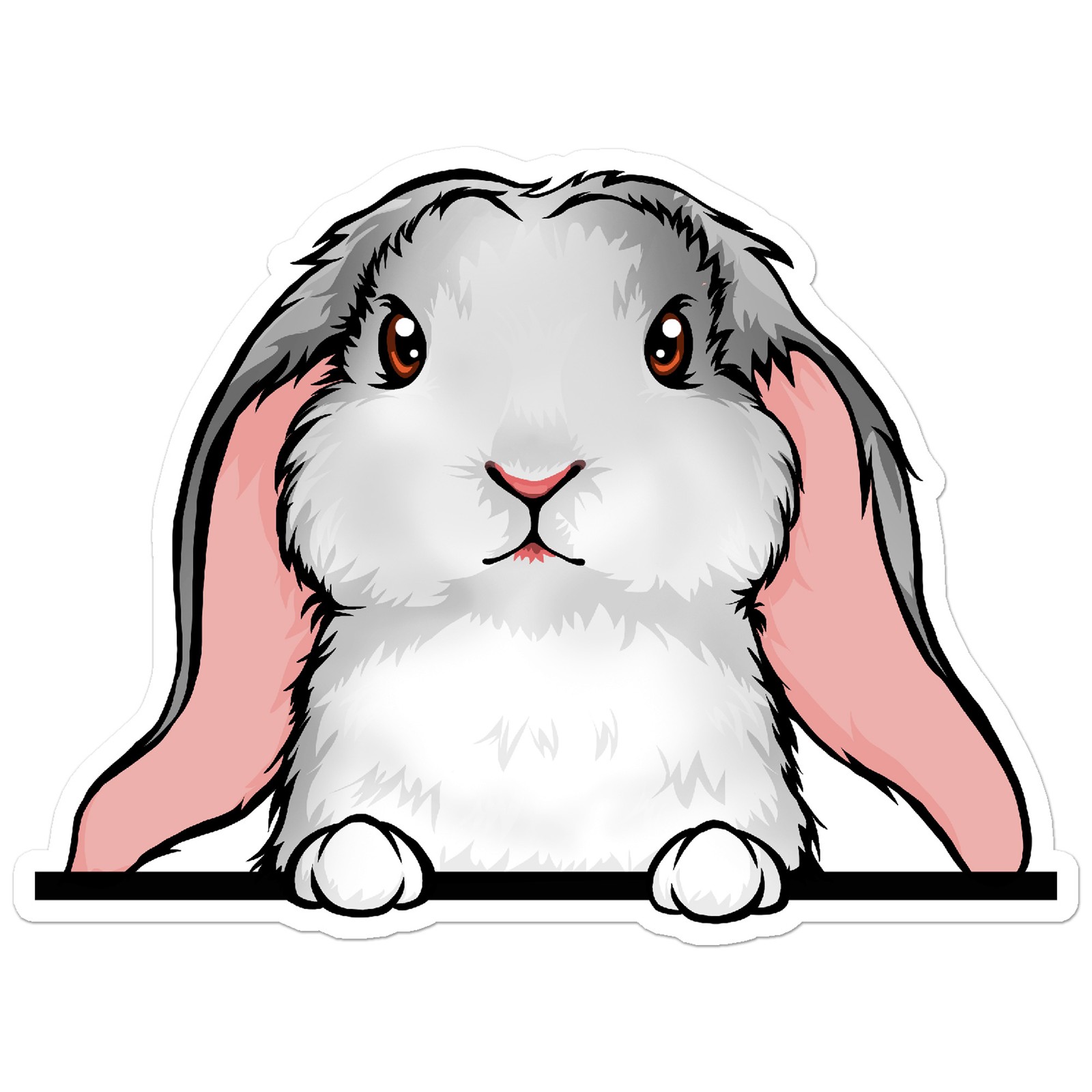 Peeking English Lop Rabbit – Vinyl Decal Sticker – Car Window Laptop – ebn11635