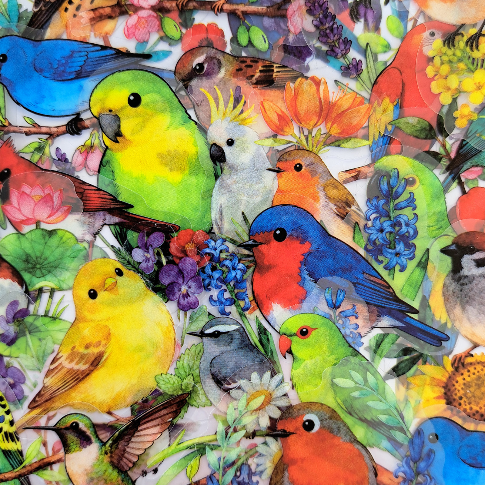 56 PCS Artistic Birds Sticker Pack Transparent Watercolor Floral Ornithology