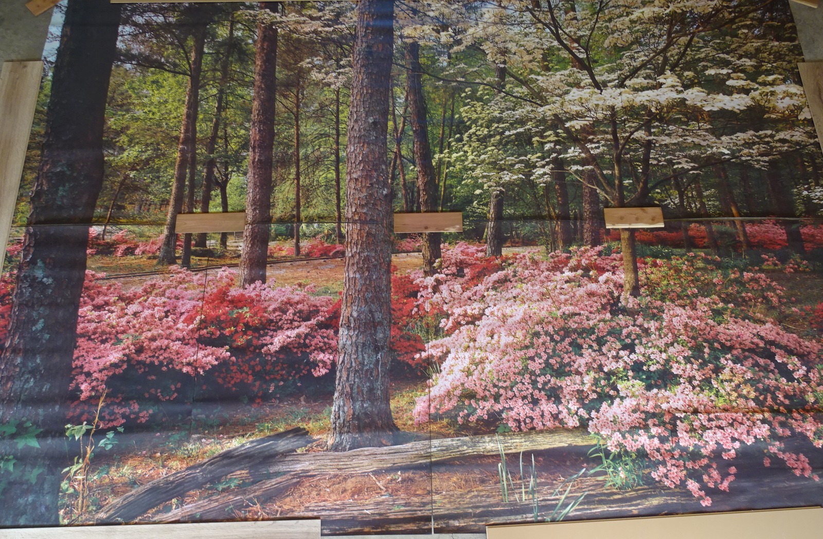 Full Wall Photo Mural Azaleas & Dogwoods Trees Railroad Track 8’ 8” x 12’ 6” NOS