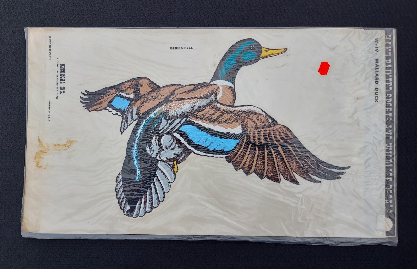 Vtg Wildlife Window Decals Lot Of 4 NOS Bear Moose Cougar Duck 1970's Hunting