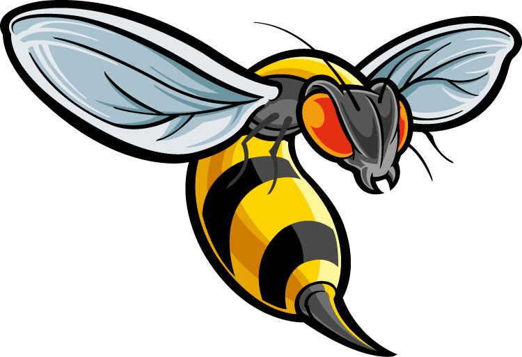 Angry Wasp Yellow Jackets Car Bumper Sticker Decal