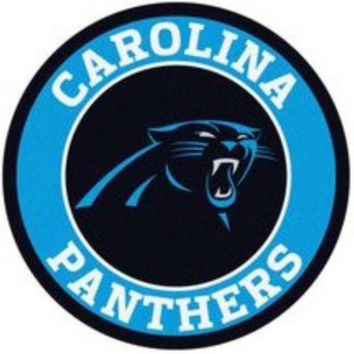 Carolina Panthers #10 NFL Team Pro Sports Vinyl Sticker Decal Car Window Wall