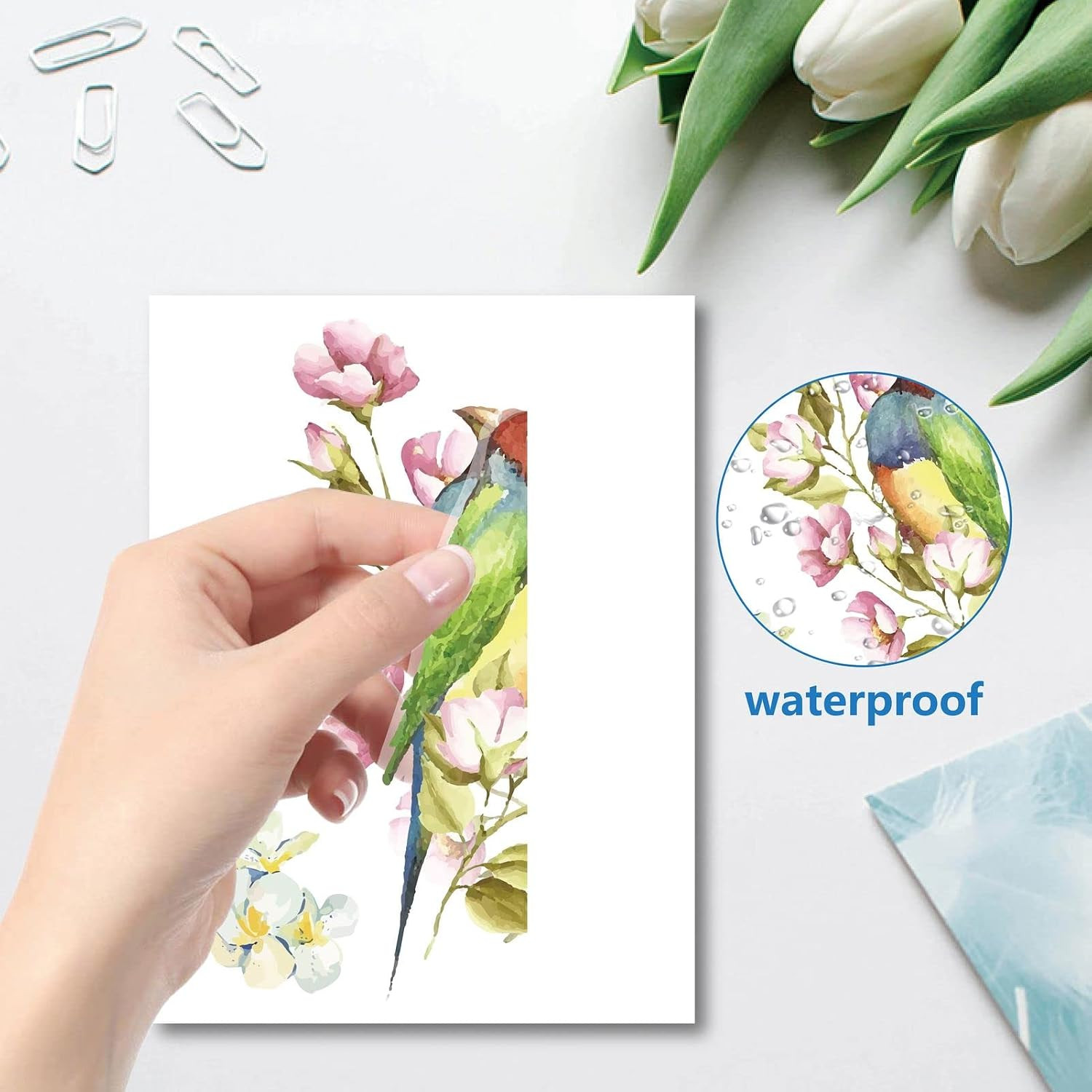 8 Sheets Wall Decals Hummingbird Flowers Butterfly Window Stickers