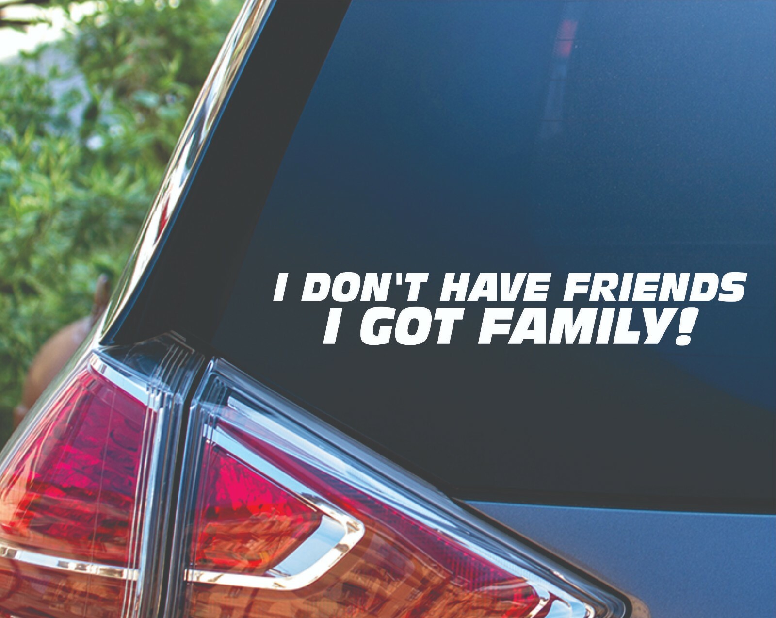 I DONT HAVE FRIENDS I GOT FAMILY Fast and Furious Decal Sticker