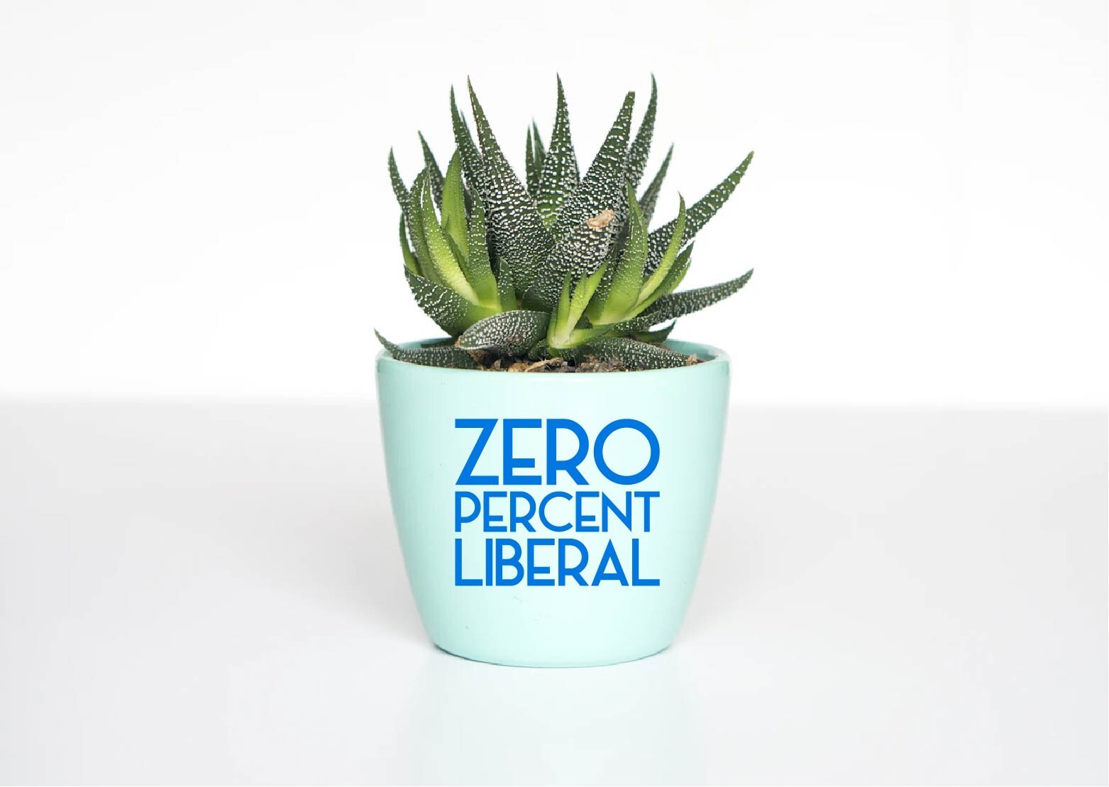 0% Liberal Zero Percent Decal Sticker Trump MAGA Make America Great Political US