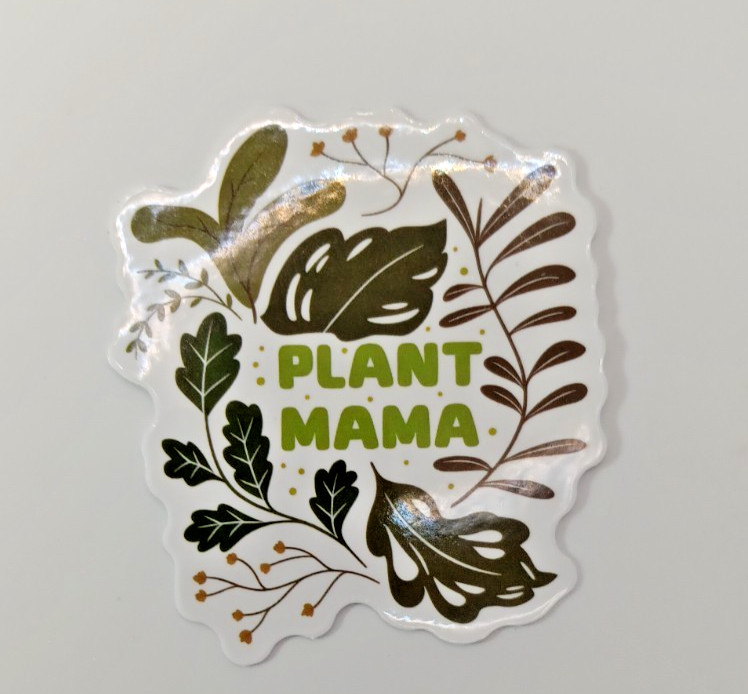 Plants-Succulent-Funny Humor Sarcastic Vinyl Sticker-Decal-NWOT-Free Shipping!