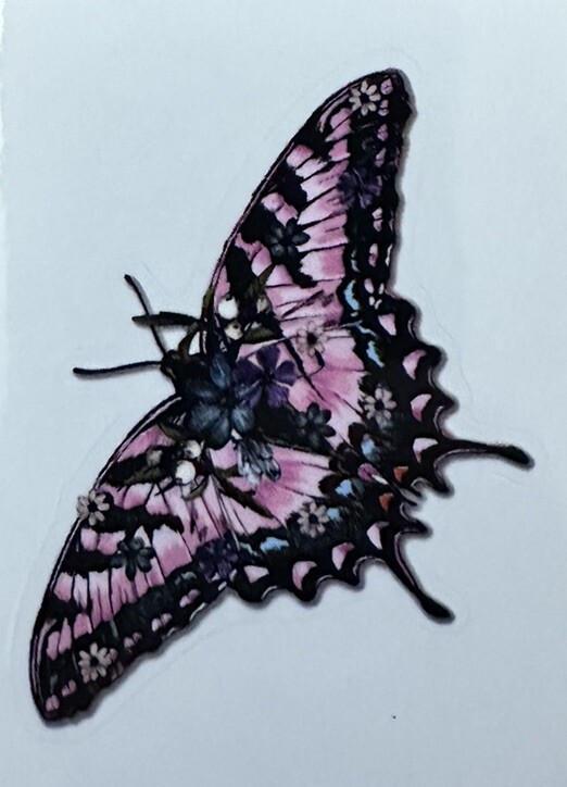 WINGS OF BEAUTY ~ Small Vinyl Sticker – (2in x 1.5in)