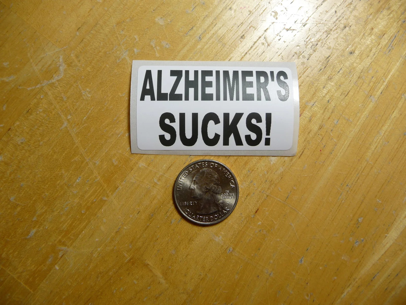 ALZHEIMER'S SUCKS STICKER DECAL 1 – 50 BULK PACK DISEASE SUPPORT