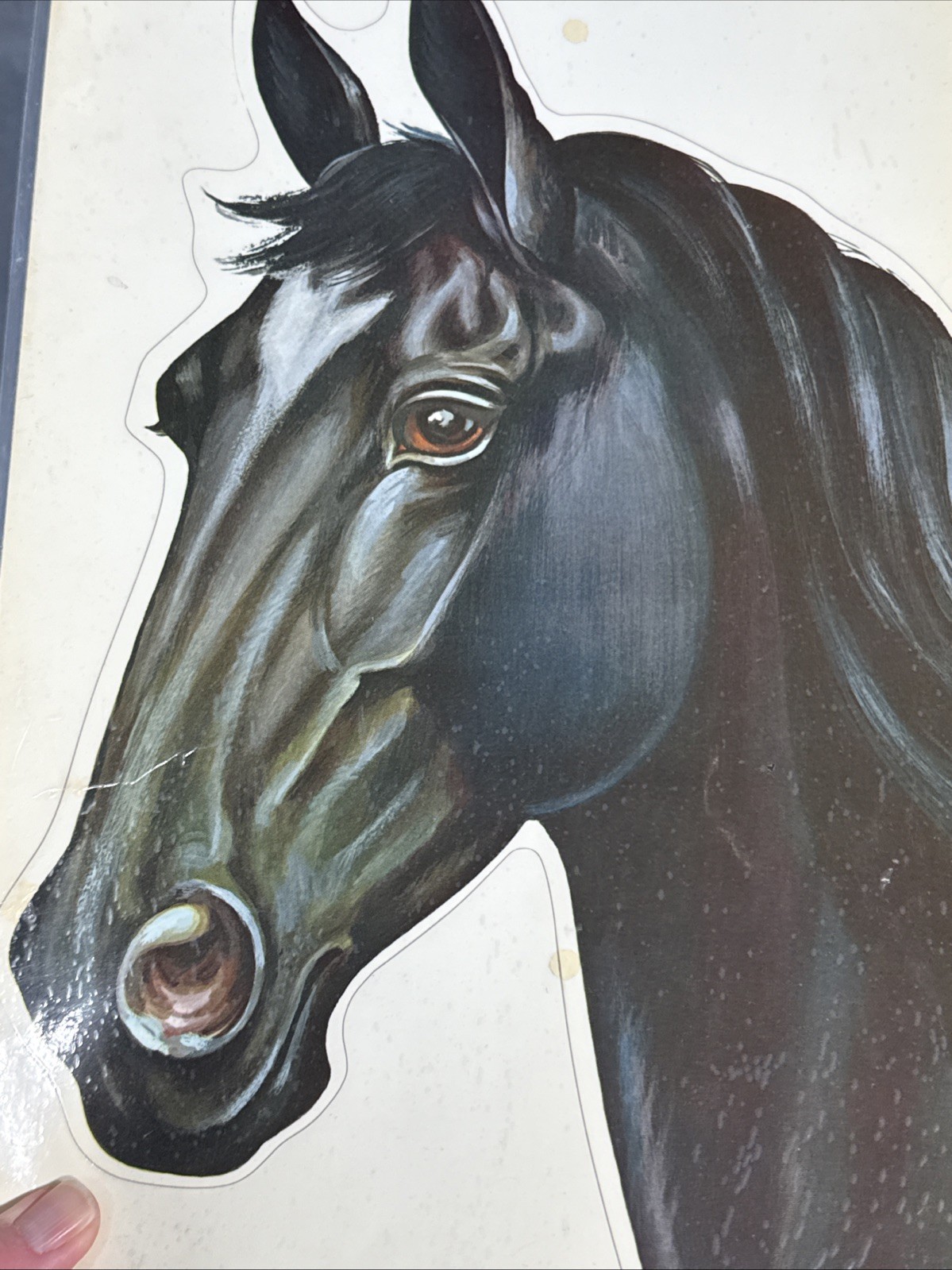 Lot of 4 Vintage 1960s 70s NOS Die Cut HORSE Decals Meyercord Equestrian Decor