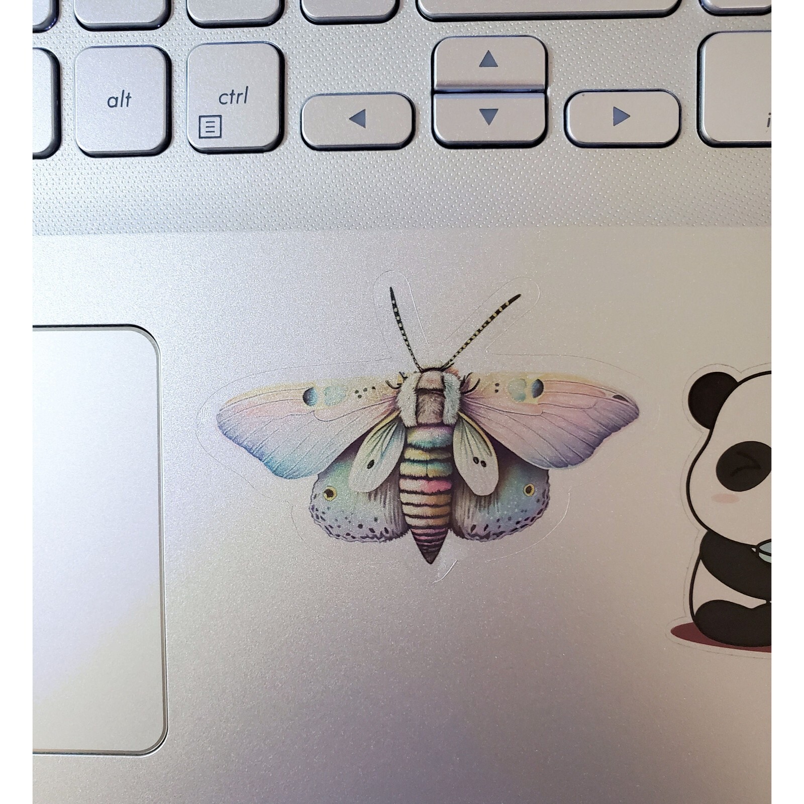 Light Moth Sticker | For Computers, Journals, Phones | Clear Transparent Vinyl