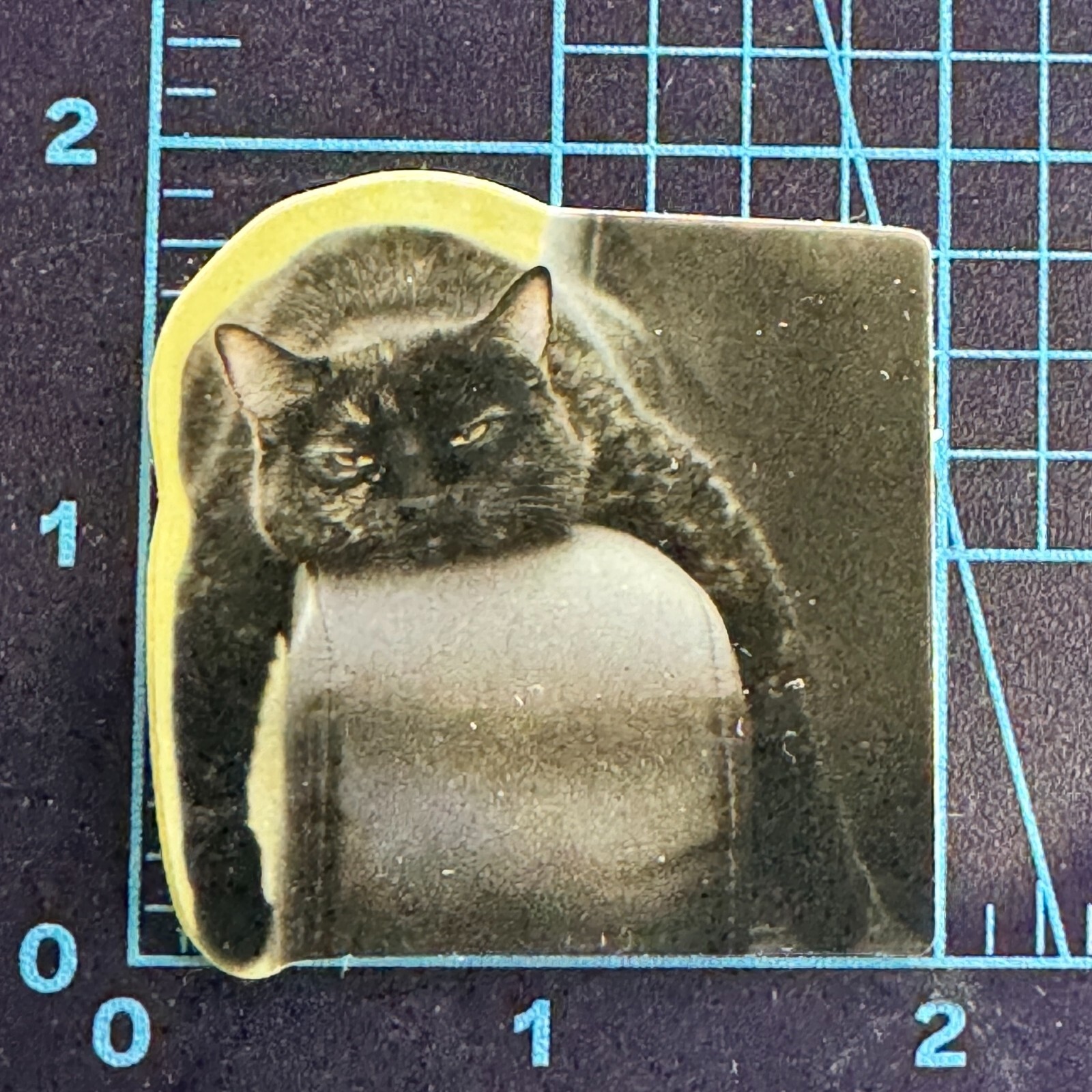 Black Dominant Cat – Just Try Me – Cat World – Vinyl Sticker Decal Sticker Bomb
