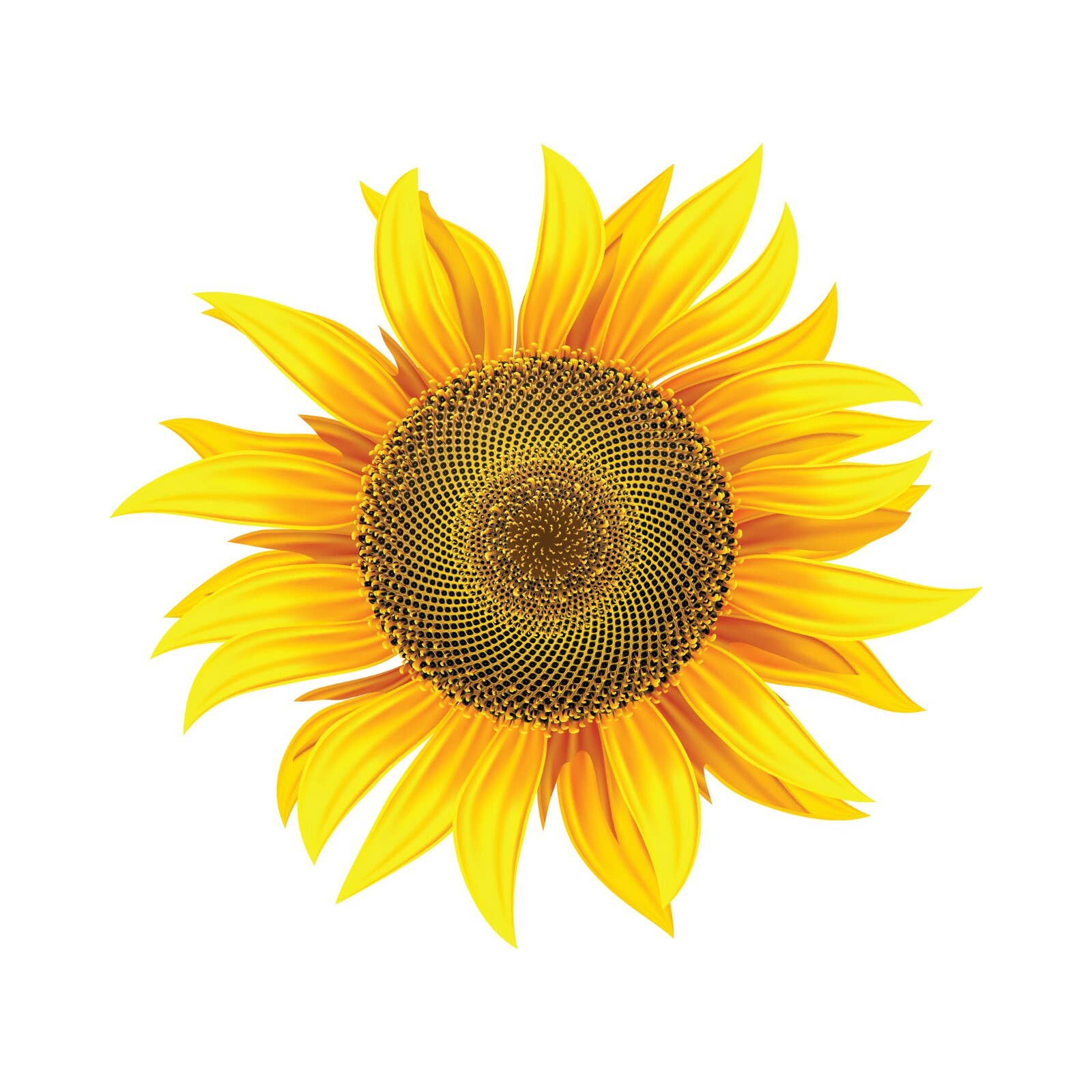 Sunflower Vinyl Decal for Indoors or Outdoors – Available in Various Sizes
