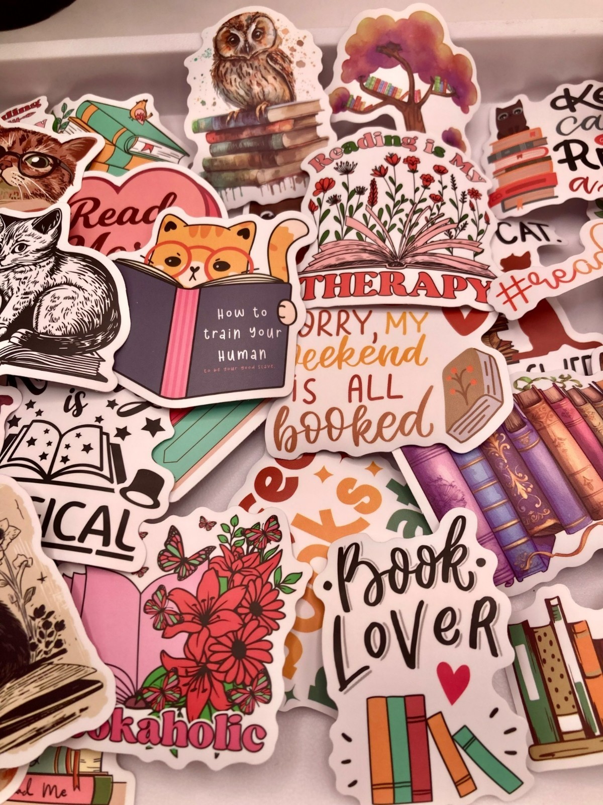 Book Lover-Themed Sticker Pack of 50 -Cats & Quotes For Journals Laptops -120B