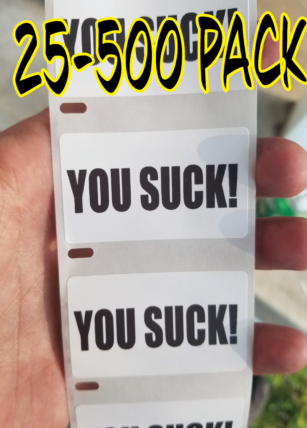 YOU SUCK Stickers 25-1000 Pack gag sticker gay pride joke decal