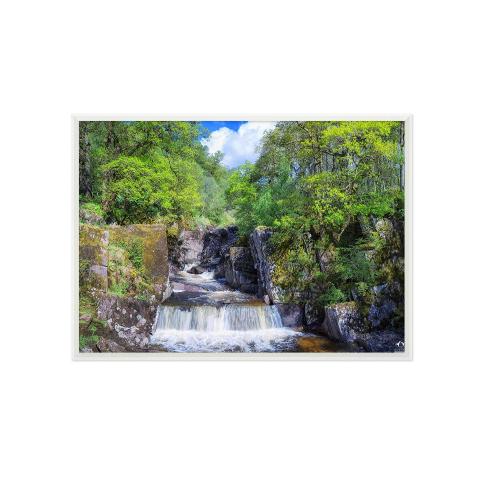 3D Small River Tree 55 Framed Poster Home Decor Print Painting Art AJ WALLPAPER