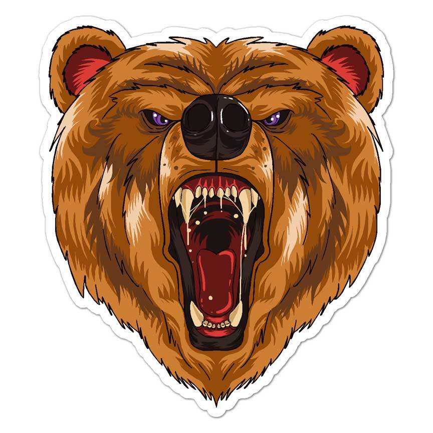 Grizzly Brown Bear, Vinyl Decal Sticker, Indoor Outdoor, 3 Sizes, #7946
