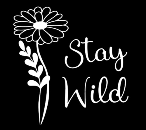 Stay Wild Flower Vinyl Decal Bumper Sticker Car Truck SUV Window Mirror Art