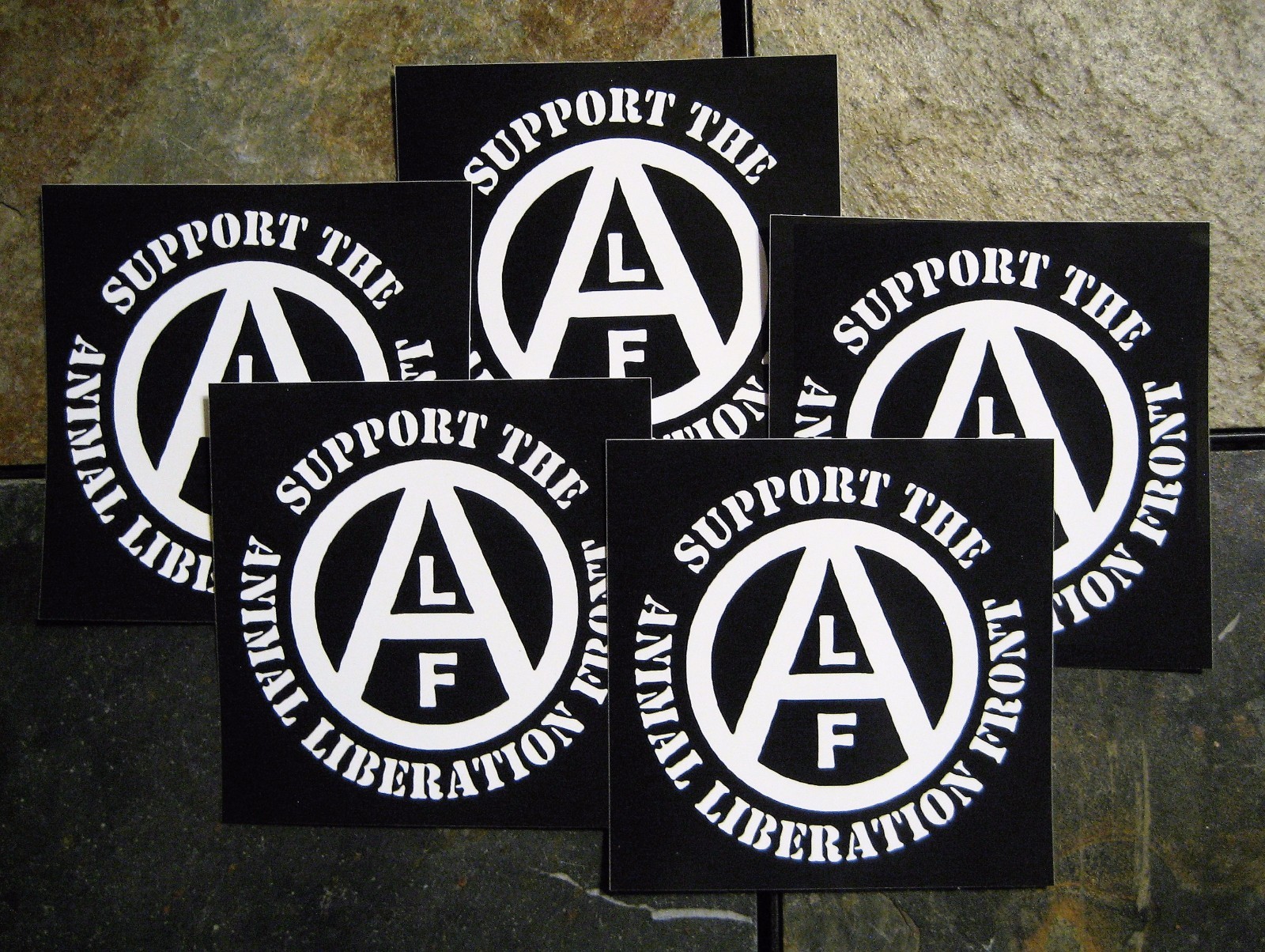 Lot of 5 4×4" Animal Liberation Front ALF Vinyl Rights Sticker Vegetarian Vegan