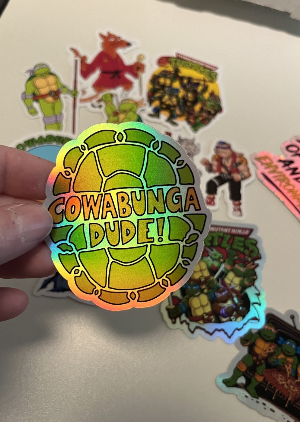 Teenage Mutant Ninja Turtles Mystery Sticker Pack Pizza Box + Coloring Book