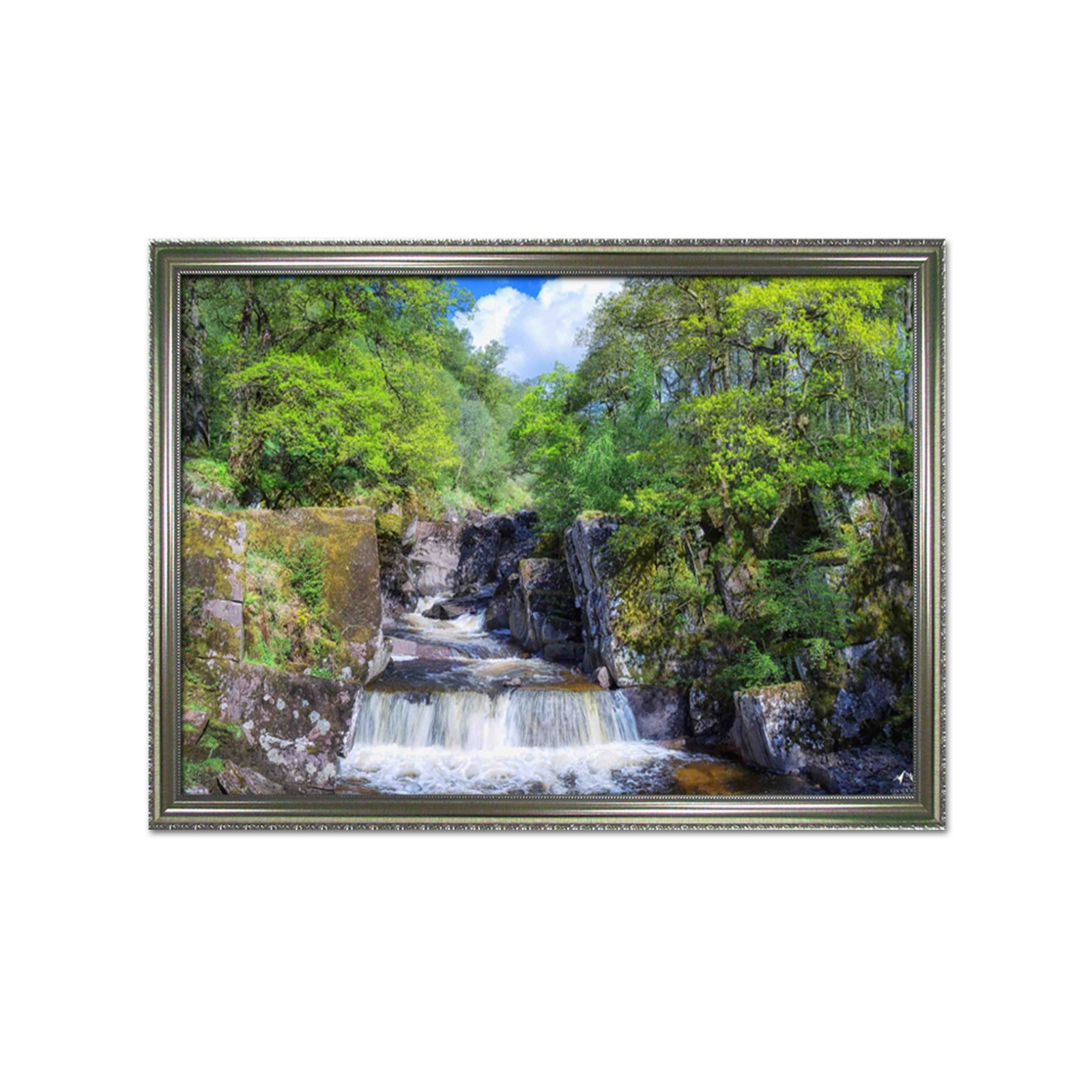 3D Small River Tree 55 Framed Poster Home Decor Print Painting Art AJ WALLPAPER