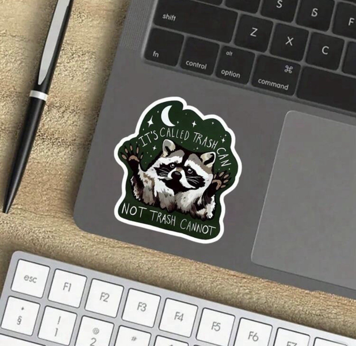 Sticker – Raccoon Trash Can Not Cannot, Kawaii Motivational 3”