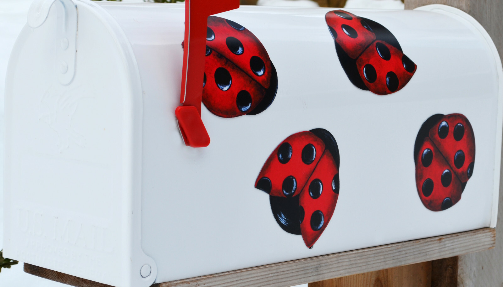 Mailbox Magnet (Partial Cover) Set of 4 Ladybugs Summer Car Better than a Decal