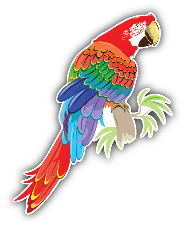 Parrot Cartoon Car Bumper Sticker Decal "SIZES"