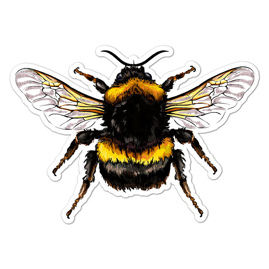 Bumble Bee, Vinyl Decal Sticker, Indoor Outdoor, 3 Sizes, #8639