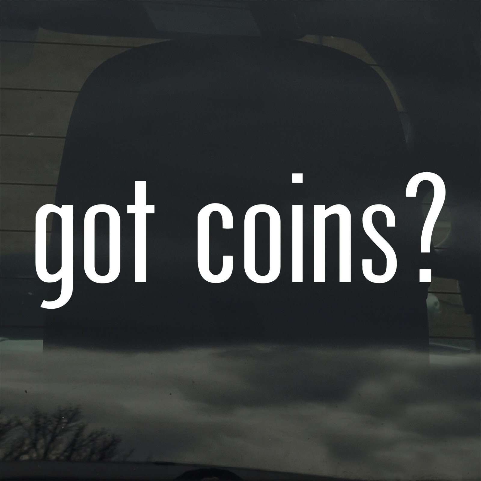 Got Coins? Custom Vinyl Sticker / Decal Numismatic, Collecting, Money, Treasure
