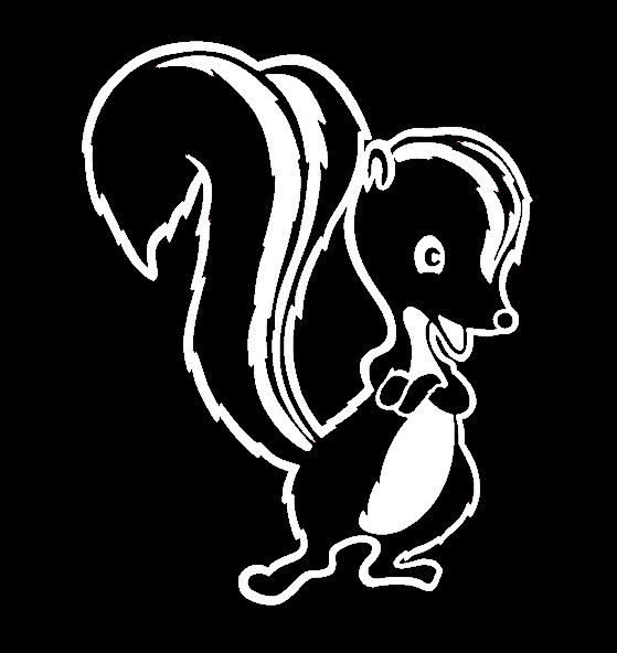 SKUNK, Decal Stickers for Cars, Laptops, Tablets