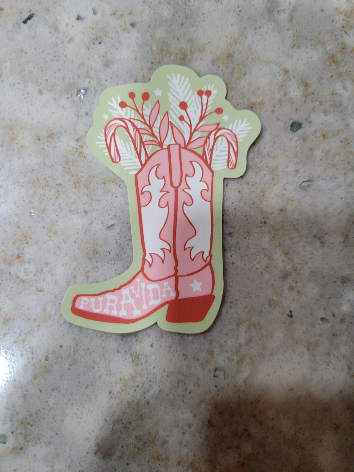 New Pura Vida December 2024 Boot Monthly Bracelet Club Sticker ONLY