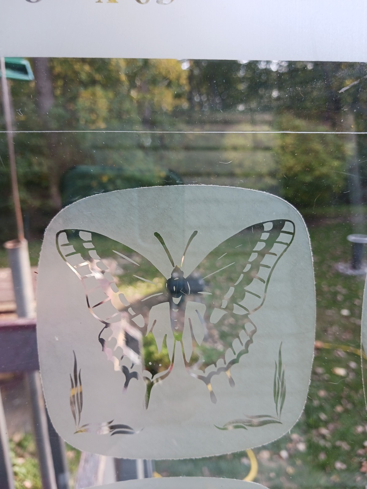 BUTTERFLY Decal 4"x4" Etched Glass Look Cling Removable & Reusable #1101