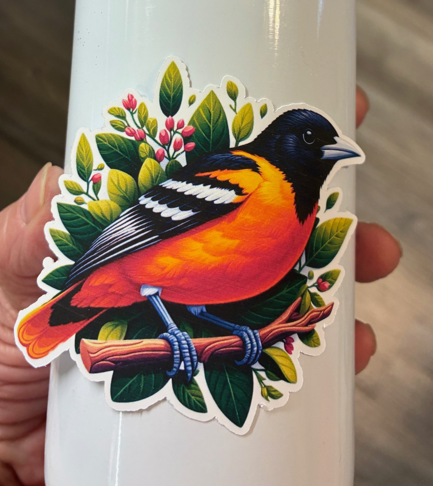 Baltimore Oriole Sticker 3 .75 inch Vinyl Sticker Oriole Bird Sticker Colorful
