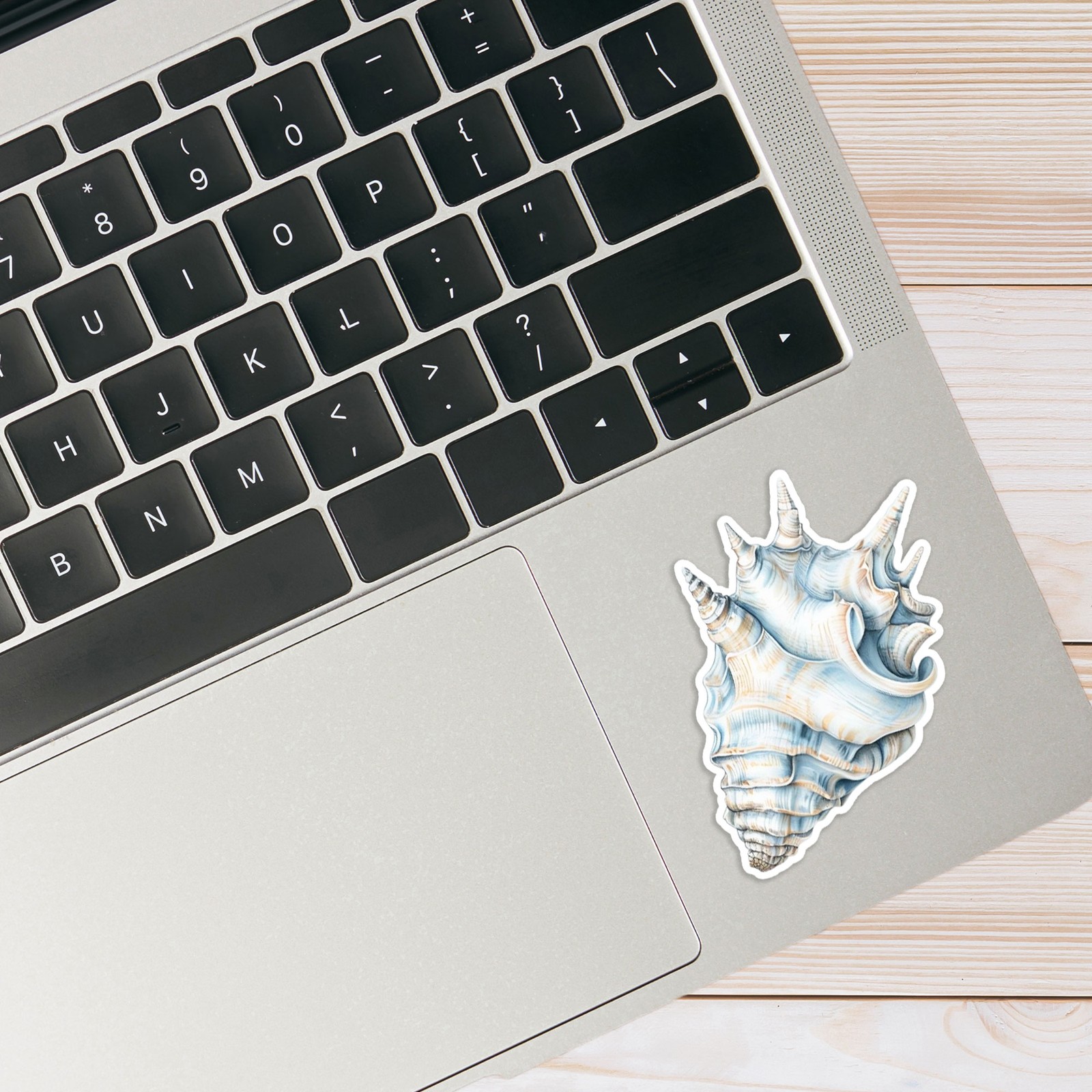 Conch Shell Seashell – Vinyl Decal Sticker – Car Window Laptop – #1662