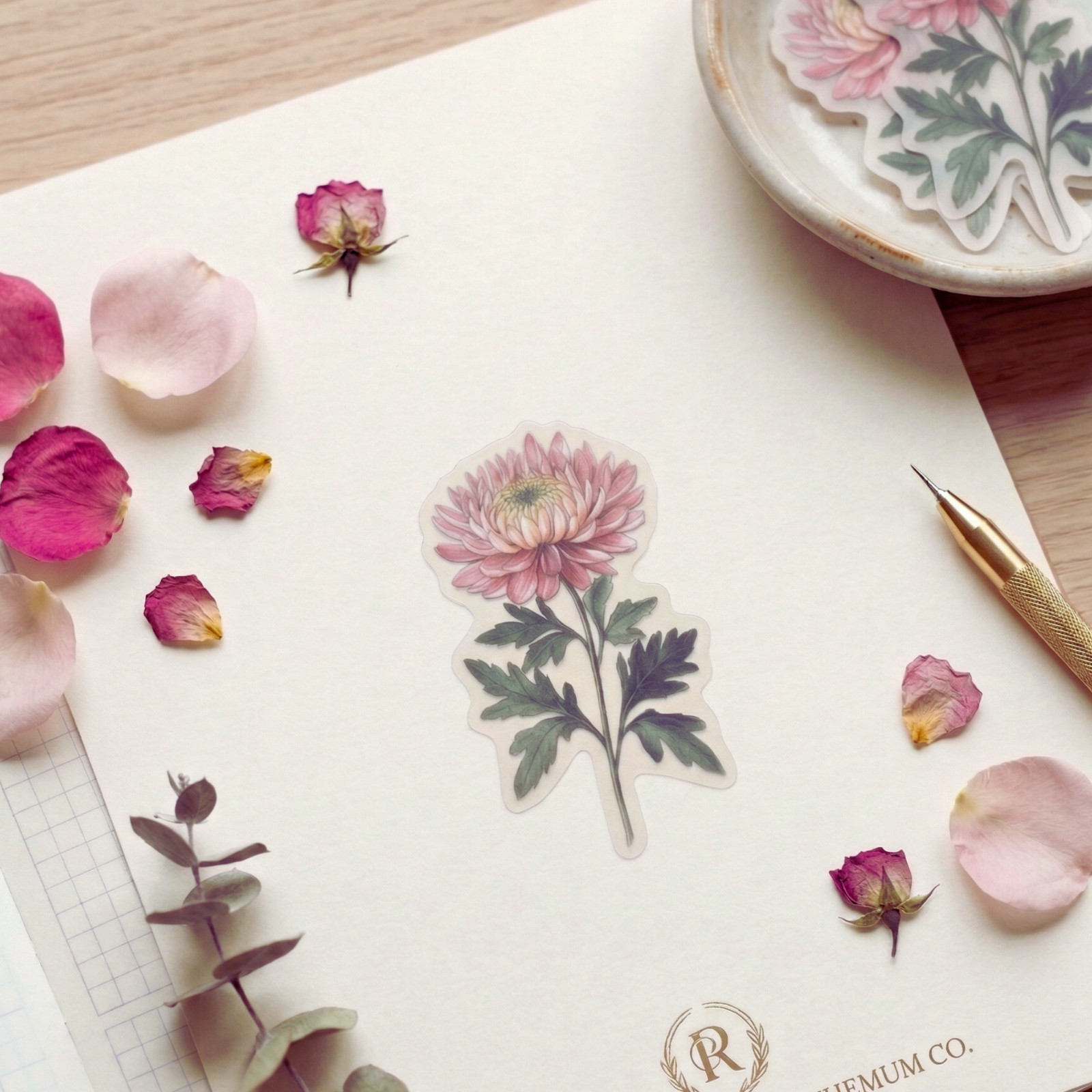Aesthetic Pink Mophead Chrysanthemum Sticker |Botanical Flower Journaling Decal