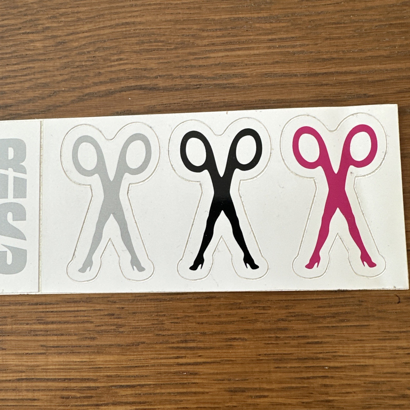 Band Promo SCISSSOR SISTERS 2004 Vinyl Sticker Set Jake Shears Music Collectible